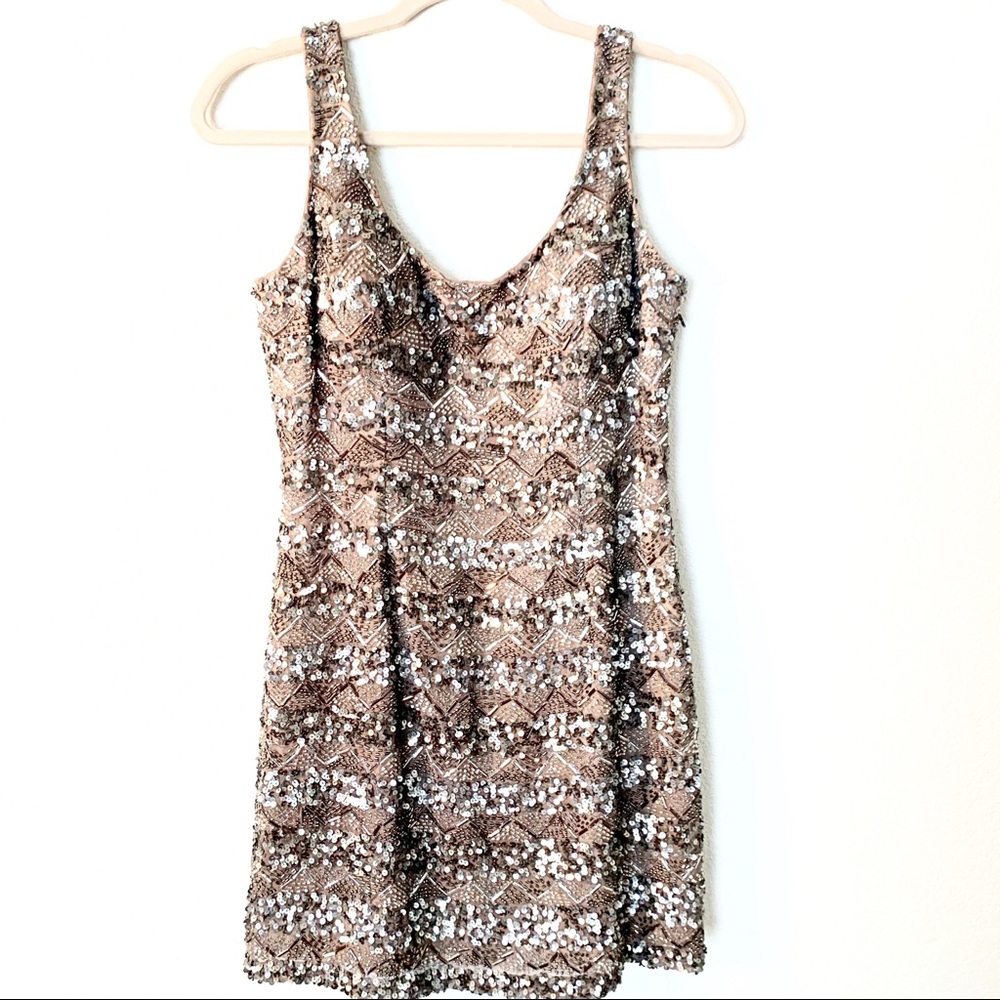 Silk Sequin Dress